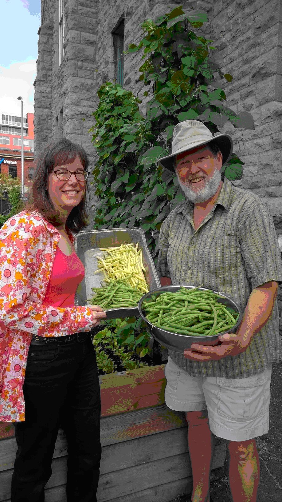 Garden - Bounty of Beans